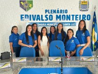 Câmara de Vereadores de Santa Luz - PI homenageia as mulheres com site oficial na cor rosa